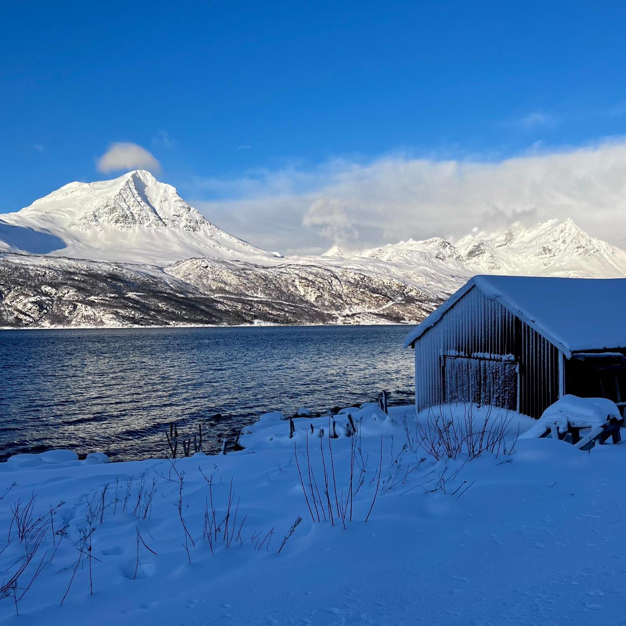 Ferienwohnung Artic Dream Gratangen Exterior foto